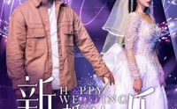 《新婚快乐（35集）》精彩短剧连看不停歇