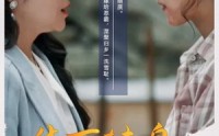 《华丽转身之女总裁归乡（35集）》流畅短剧一键播放