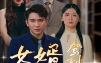 《女婿驾到，通通闪开（34集）》热门短剧一次看过瘾