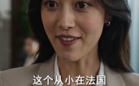 《走出家门当译官（70集）》高分短剧完整版在线追