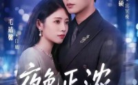 《夜色正浓（65集）》爆款短剧免费在线品鉴