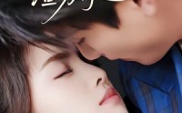 《沈小姐的渣男奇遇记（51集）》热门短剧全集免费点播