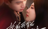 《抱歉我拿的是女主剧本（64集）》热门短剧每日更新追不停