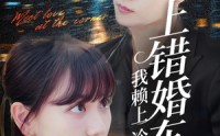 《上错婚车后我赖上冷酷谭爷（59集）》高清短剧在线免费播