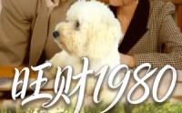 《旺财1980（83集）》精彩短剧全集免费畅播