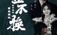 《金不换（32集）》热门短剧免费观看全集