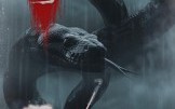《蛇影（25集）》热门短剧全集免费速看