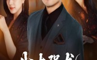 《我本强龙只是低调（70集）》长篇短剧在线免费收看