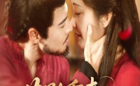 《花影重来照君心（60集）》免费在线看短剧完整内容