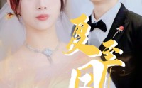 《夏至凤吟（60集）》经典短剧全集回顾