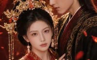 《大婚重生错嫁冷面夫君（53集）》短剧全集免费在线追剧