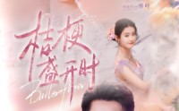 《桔梗盛开时（92集）》浪漫短剧全集回味