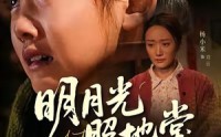 《明月光照地堂（40集）》热门短剧全集免费享