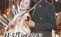 《开错网约车嫁对郎（30集）》精彩短剧全集畅享