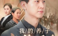 《我的养子衣锦还乡（74集）》史诗短剧全集畅享