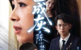 《爱已成灰陈小姐放手不再回头（30集）》免费短剧在线完整赏