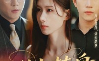 《引火焚身（61集）》优质短剧在线流畅播放
