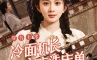 《穿书七零冷面机长夜夜洗床单（60集）》热门短剧全集免费欣赏