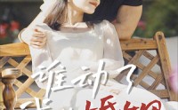 《谁动了我的婚姻（24集）》最新短剧更新不停歇