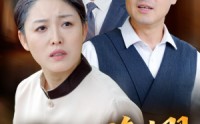 《新版：母亲的荣耀（55集）》感人短剧一口气追完