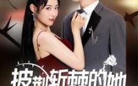 《披荆斩棘的她（91集）》热门短剧全集免费观看