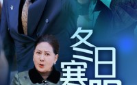 《冬日寒阳（29集）》精选短剧高清在线观看