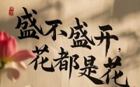 《盛不盛开，花都是花（30集）》全集短剧流畅播放