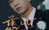 《慈心利刃（30集）》优质短剧在线流畅观看