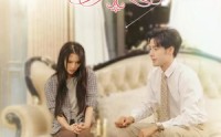 《失忆乞丐女主的逆袭之路（35集）》感人短剧全集回放