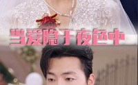 《当爱隐于夜色中（37集）》短剧全集无广告在线欣赏