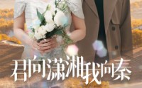 《君向潇湘我向秦（30集）》热门短剧剧情连连看