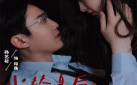 《当替身后我年薪上亿（32集）》热门短剧全集连播