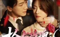 《枪与玫瑰：少帅的逃爱游戏（76集）》免费短剧高清在线播