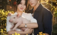 《穿到八零：我靠喂猪养全村（61集）》超火短剧在线高清观看
