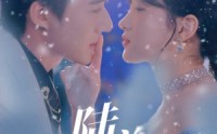 《陆总别想逃（80集）》爽看短剧全集不停