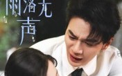 《那年雨落无声（55集）》热门短剧完整版免费观看