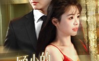 《顾少的村花甜妻（59集）》精彩短剧全集免费赏