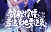 《锦鲤撑腰亲选爹地要逆袭（66集）》高清短剧完整版播放