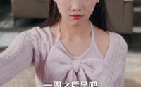 《民宿升级：发家全靠我的美丽员工（60集）》精彩短剧免费全集速看