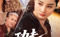 《功夫丈母娘（55集）》爆款短剧免费全集畅看