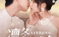 《凛冬予光时（60集）》热门短剧免费全集速看