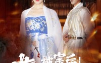 《女儿被害后！县令夫人杀疯了（41集）》短剧盛宴热血复仇爽翻天