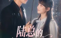 《陆总的宠溺小甜妻（61集）》热门短剧在线高清观看