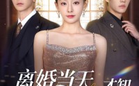 《离婚当天才知心机死对头暗恋我十年（90集）》短剧全集免费在线快看