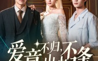 《爱意不归，山水不逢（72集）》精彩短剧全集免费播