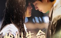 《恰似生命一道光（60集）》高清短剧全集畅享