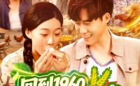 《回到1960，我竟成了农场主（95集）》热门短剧免费追剧
