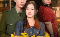 《七零肥妻大翻身（79集）》热门短剧在线高清观看