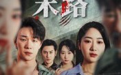 《骗途末路（36集）》热门短剧在线免费追