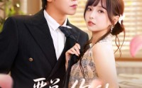 《严总你的小玫瑰又作妖了（77集）》优质短剧一键在线看